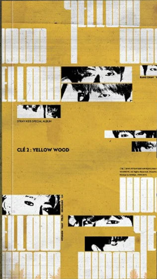 STRAY KIDS - CLE2 : YELLOW WOOD (REGULAR VERSION)